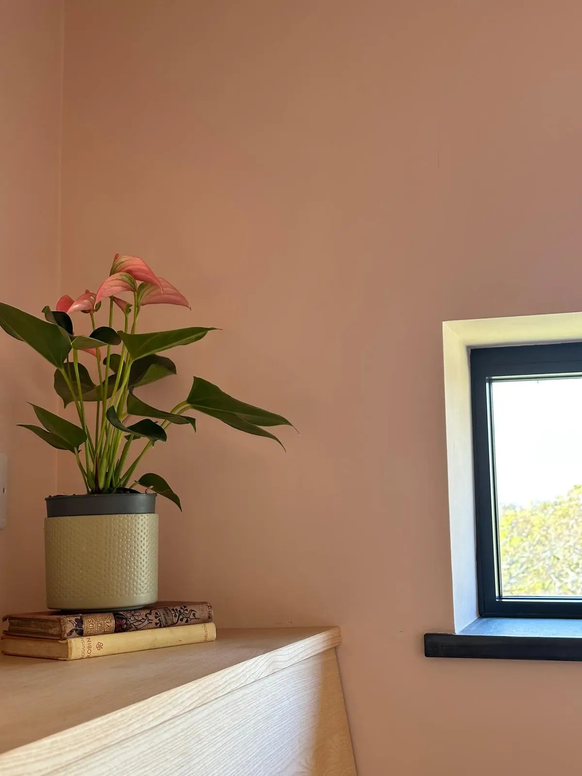 Gallery image 8