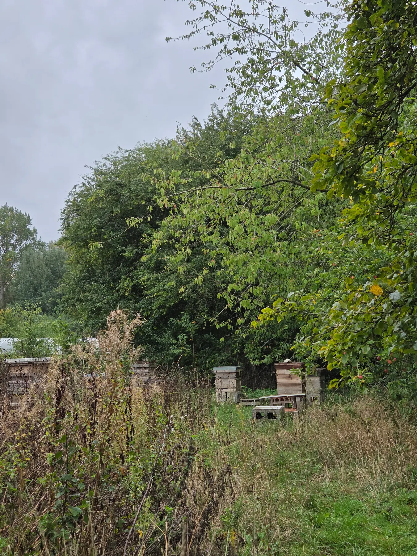 Gallery image 6