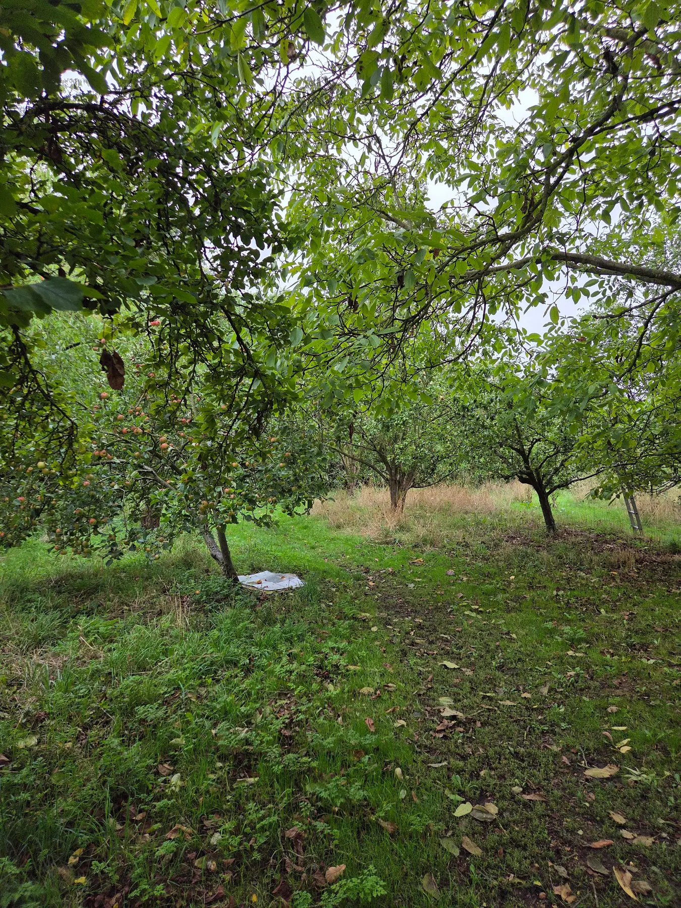 Gallery image 7