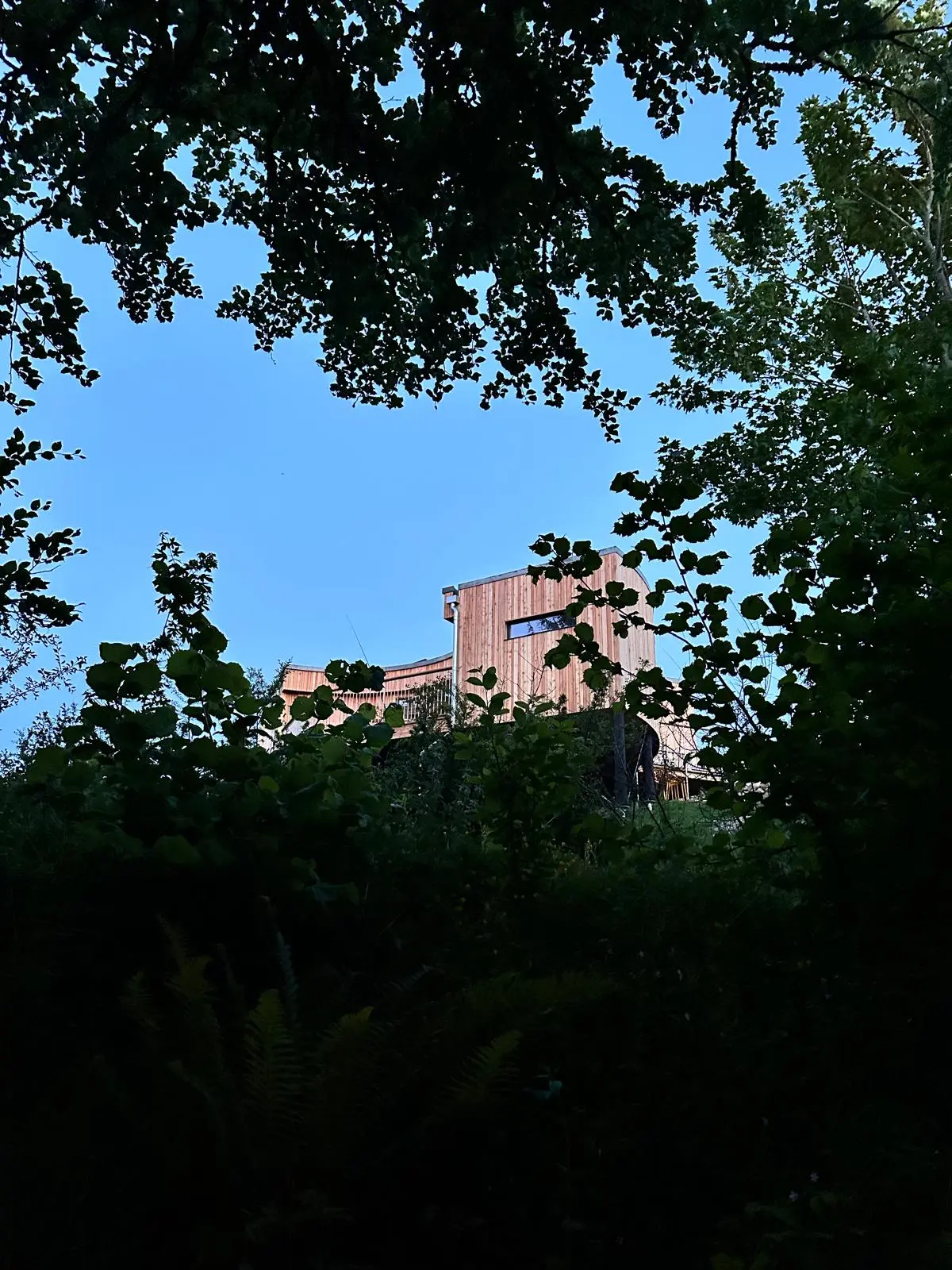 Fifth image