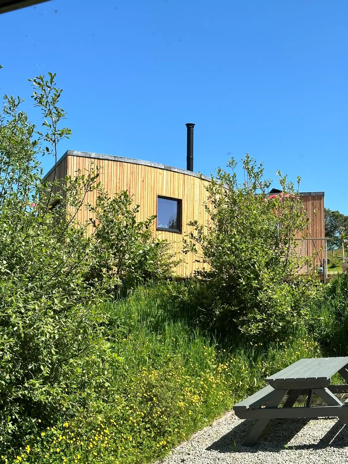 Gallery image 10