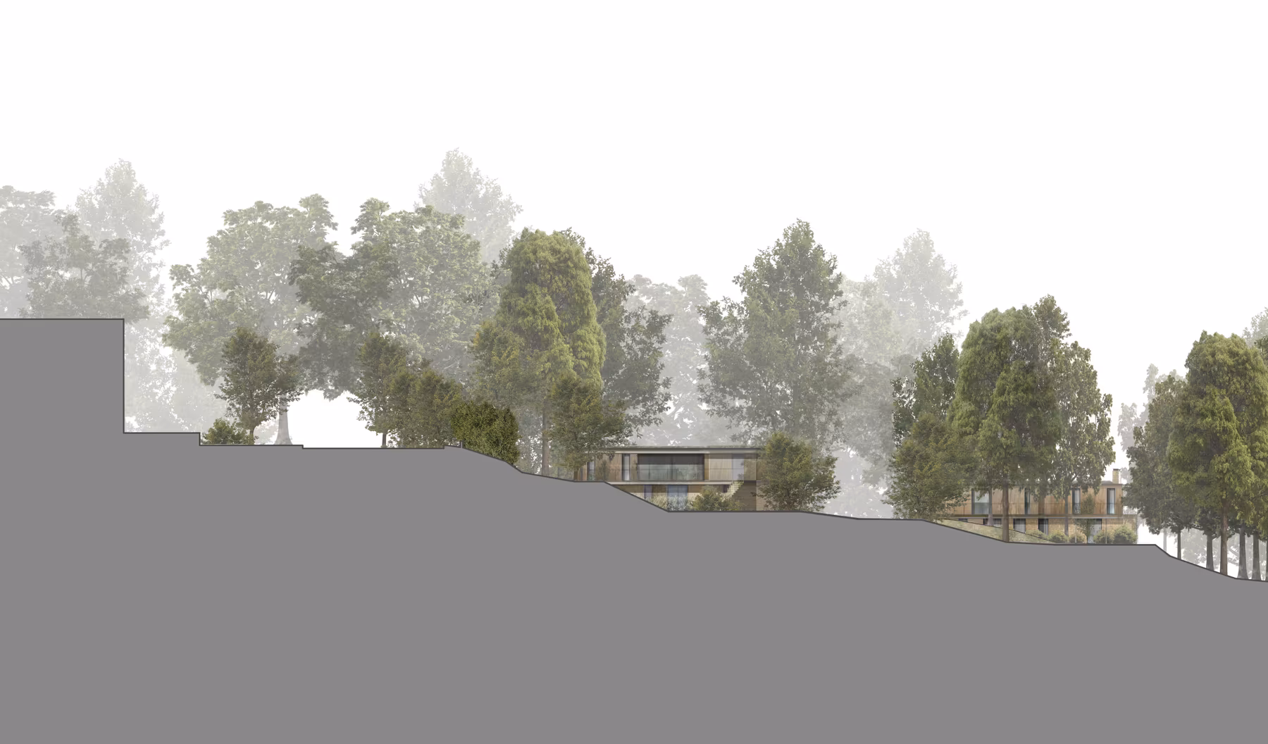 Fourth image