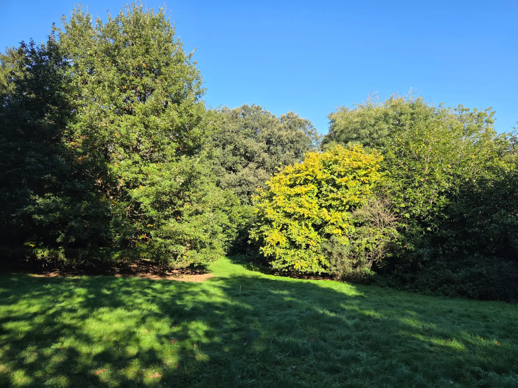 Wotton Road, Charfield, Glos photo 3