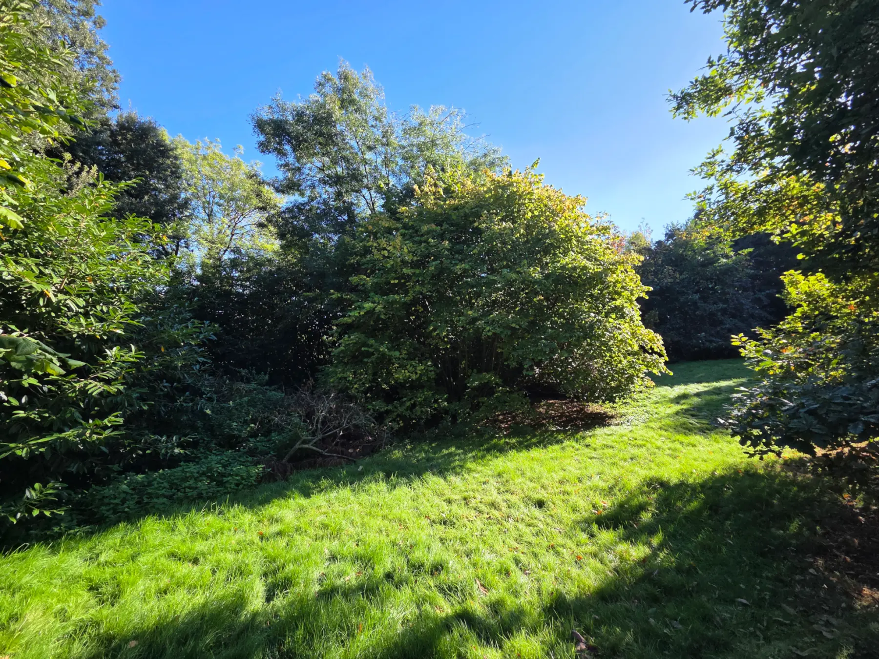 Wotton Road, Charfield, Glos photo 2