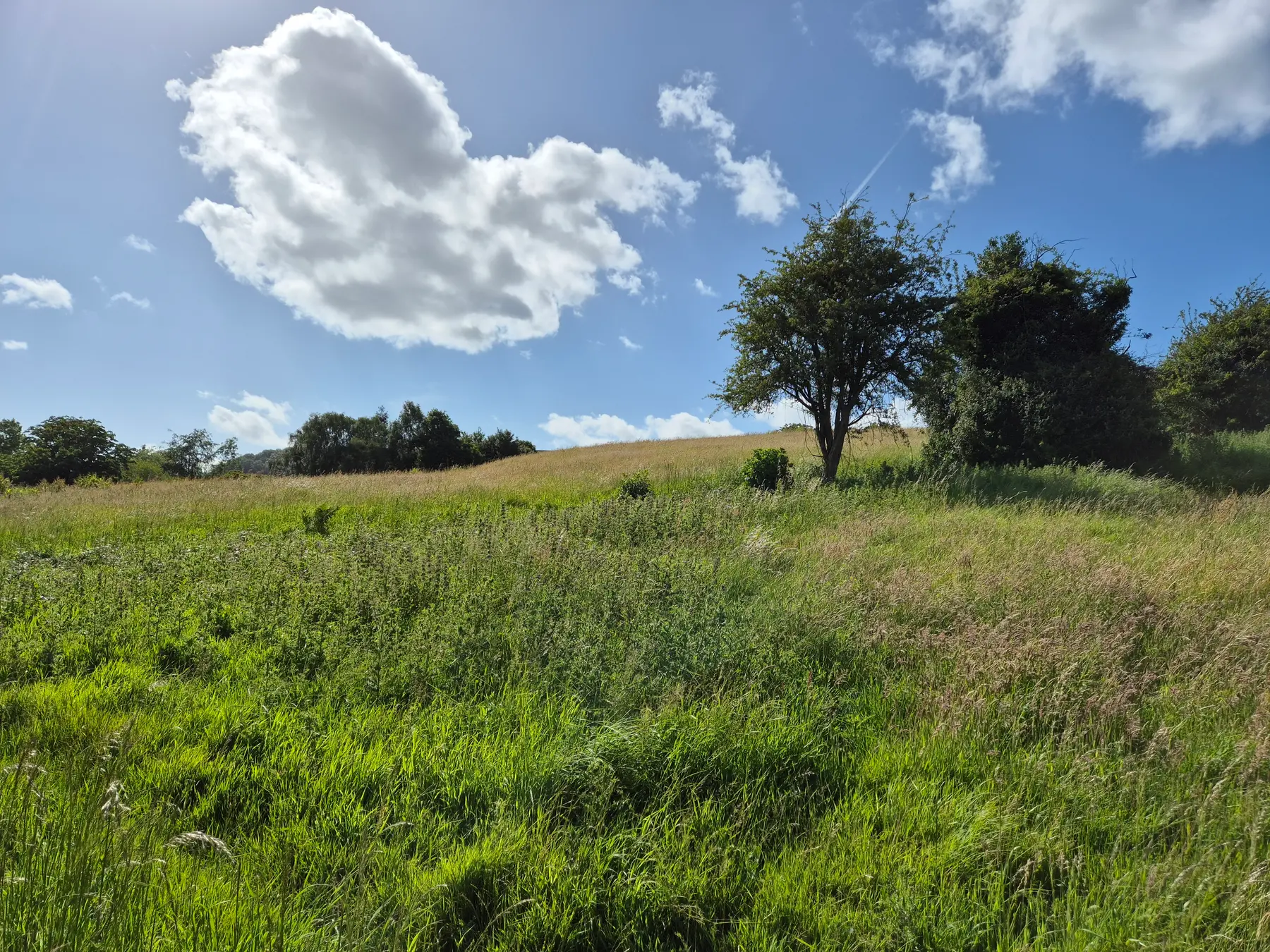 Fourth image